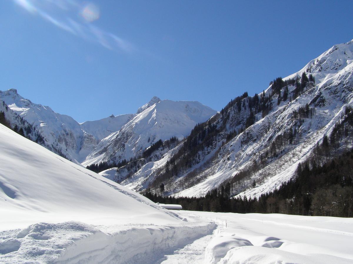 Landhaus Spielmannsau Oberstdorf Ngoại thất bức ảnh